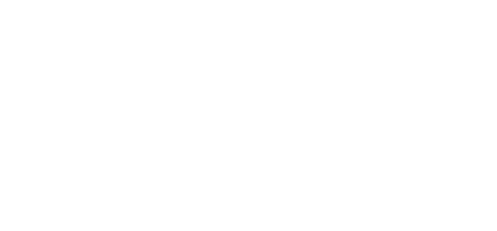 Consil Consulting Group